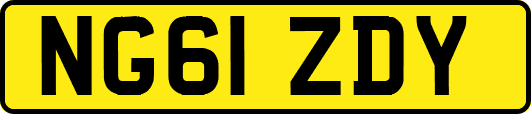 NG61ZDY