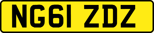 NG61ZDZ
