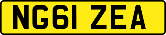 NG61ZEA