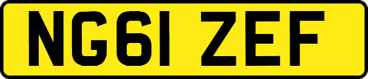 NG61ZEF