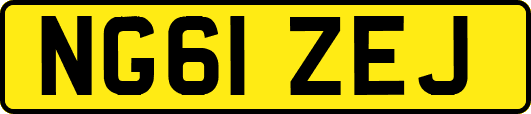 NG61ZEJ