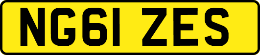 NG61ZES