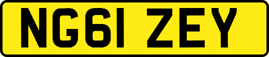 NG61ZEY