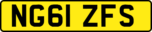 NG61ZFS