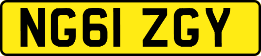 NG61ZGY