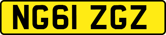 NG61ZGZ