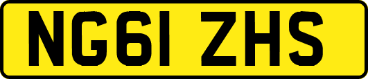 NG61ZHS