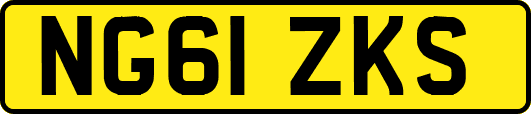 NG61ZKS