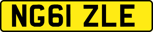 NG61ZLE