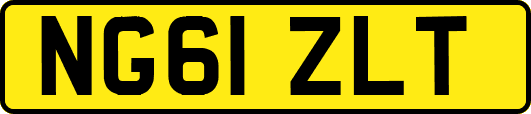 NG61ZLT