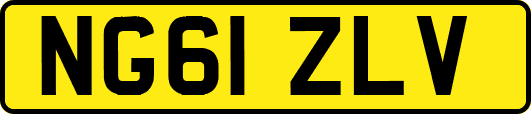 NG61ZLV