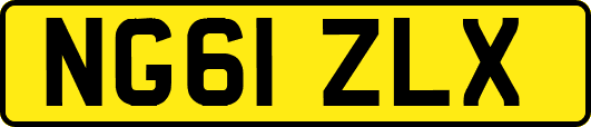NG61ZLX