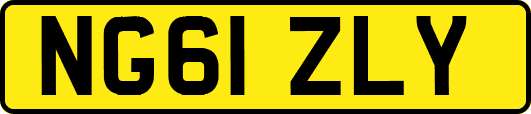 NG61ZLY