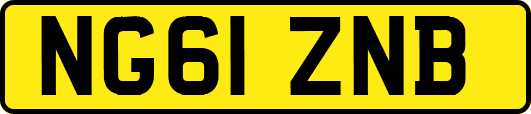 NG61ZNB