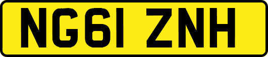 NG61ZNH