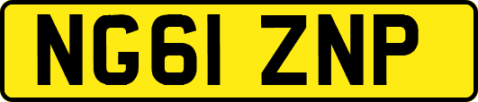 NG61ZNP