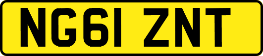 NG61ZNT