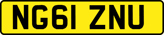 NG61ZNU