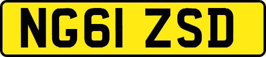 NG61ZSD