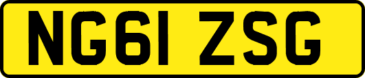 NG61ZSG