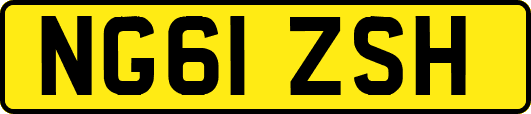 NG61ZSH