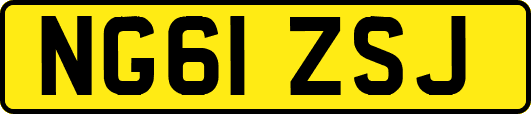 NG61ZSJ