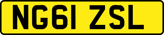 NG61ZSL