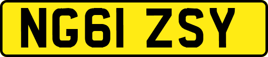 NG61ZSY