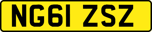NG61ZSZ
