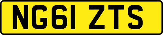 NG61ZTS