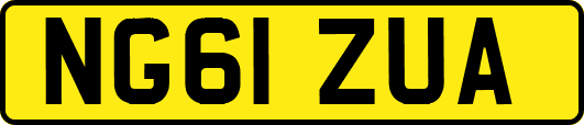 NG61ZUA