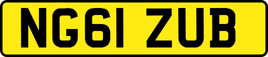 NG61ZUB