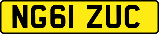 NG61ZUC