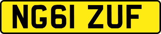 NG61ZUF