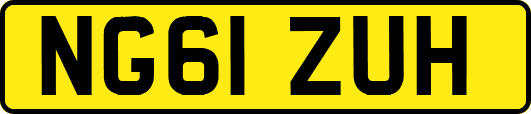 NG61ZUH