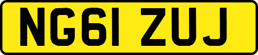 NG61ZUJ