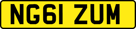 NG61ZUM