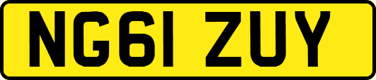 NG61ZUY