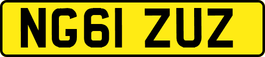 NG61ZUZ