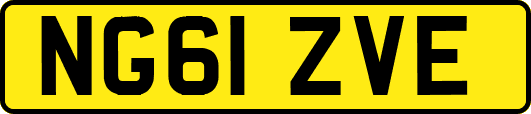 NG61ZVE