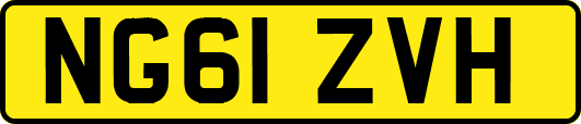 NG61ZVH