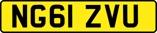 NG61ZVU