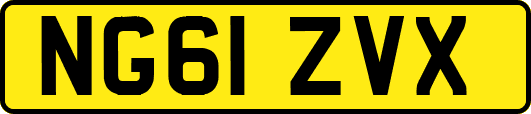 NG61ZVX
