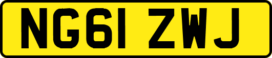 NG61ZWJ
