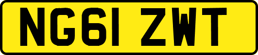 NG61ZWT
