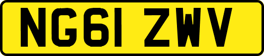 NG61ZWV