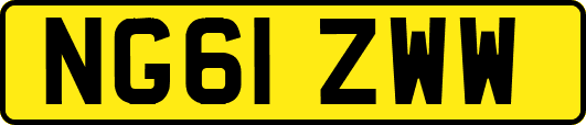 NG61ZWW