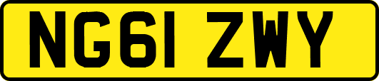 NG61ZWY