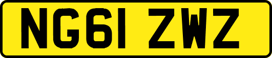NG61ZWZ