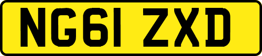 NG61ZXD